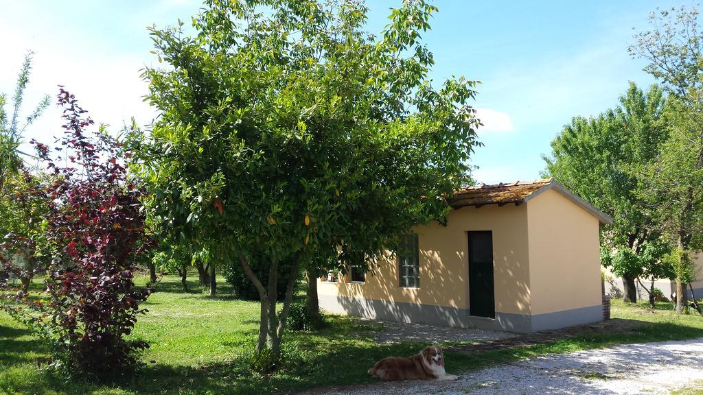 Agriturismo Podere La Cascata Villa Massa Marittima Exterior foto
